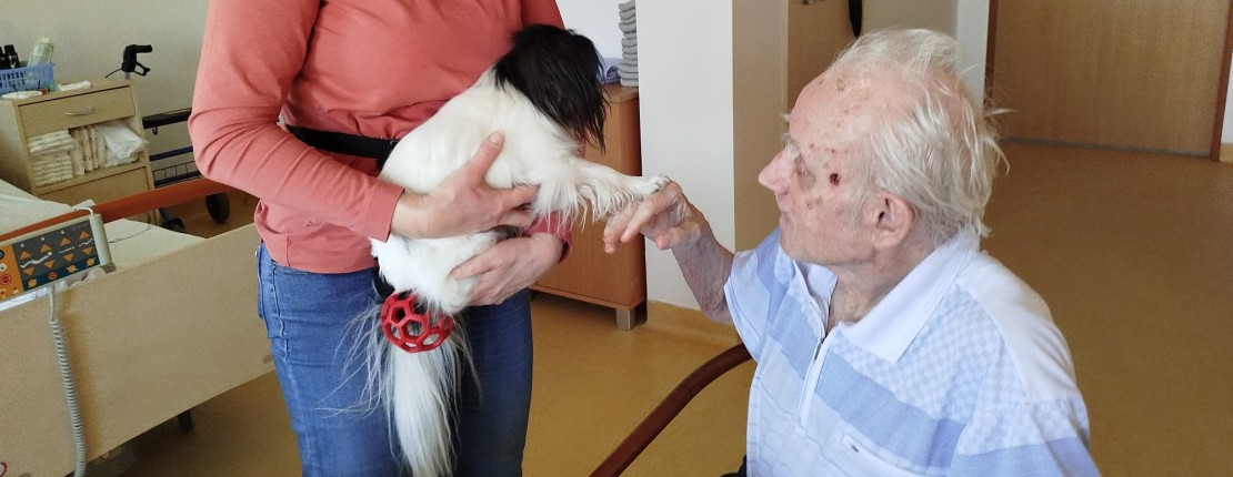 Fenka Lily opět rozdávala radost