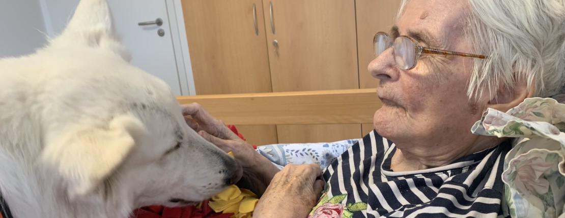 Canisterapie s Polárkou