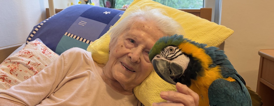 Individuální zooterapie