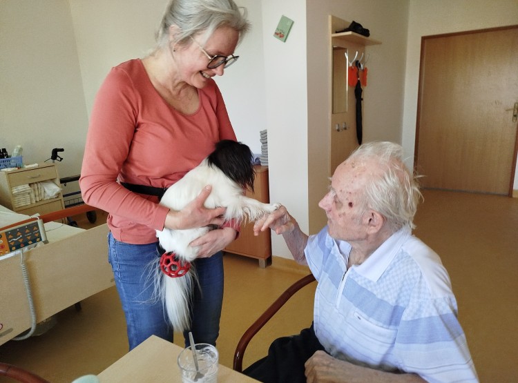 Fenka Lilly opět rozdávala radost