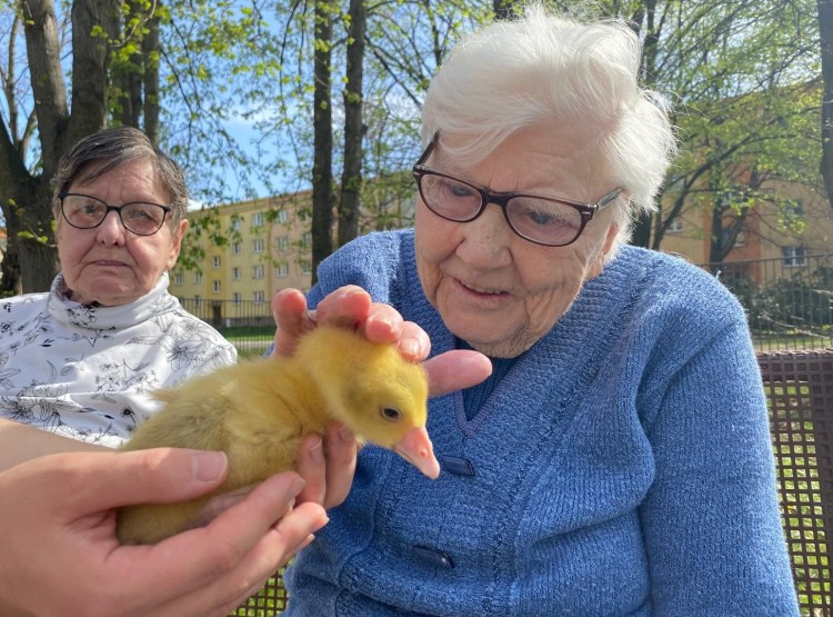 Velikonoční zooterapie