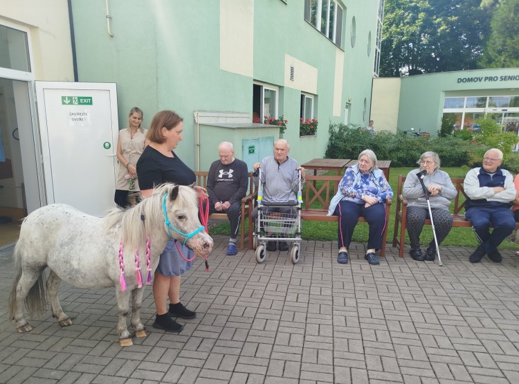 Terapie s netradičním hostem