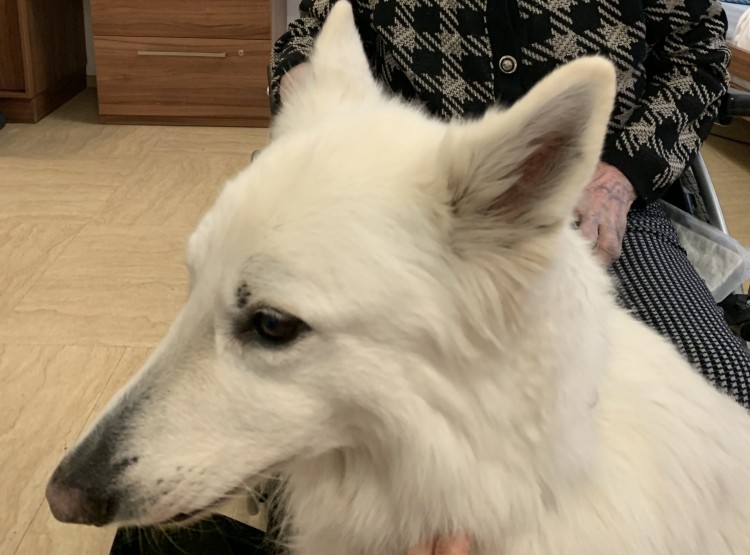 Návštěva Polárky