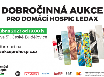 Dobročinná aukce pro Domácí hospic Ledax