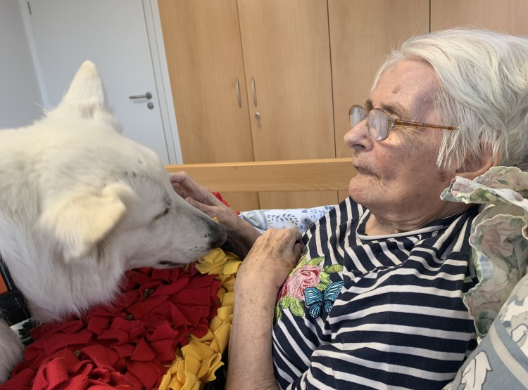 Návštěva Polárky