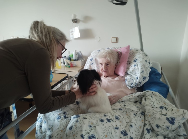 Předvánoční canisterapie