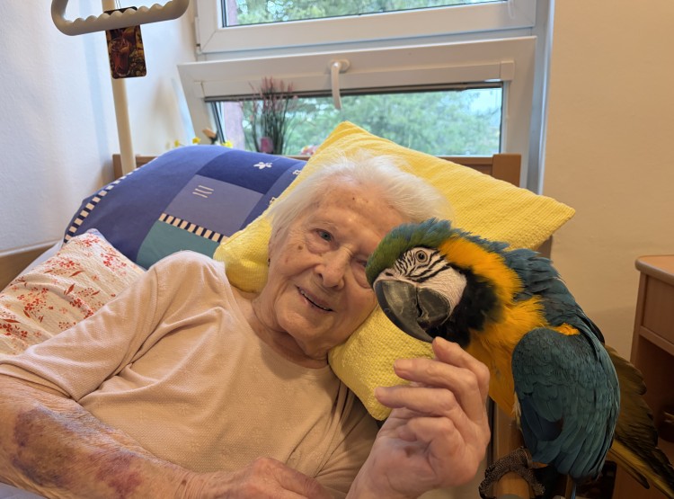 Individuální zooterapie