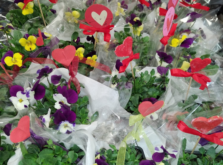 Mezinárodní den žen v Centru sociálních služeb Emausy