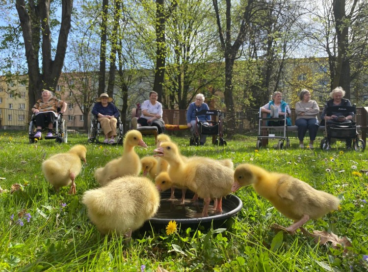 Velikonoční zooterapie
