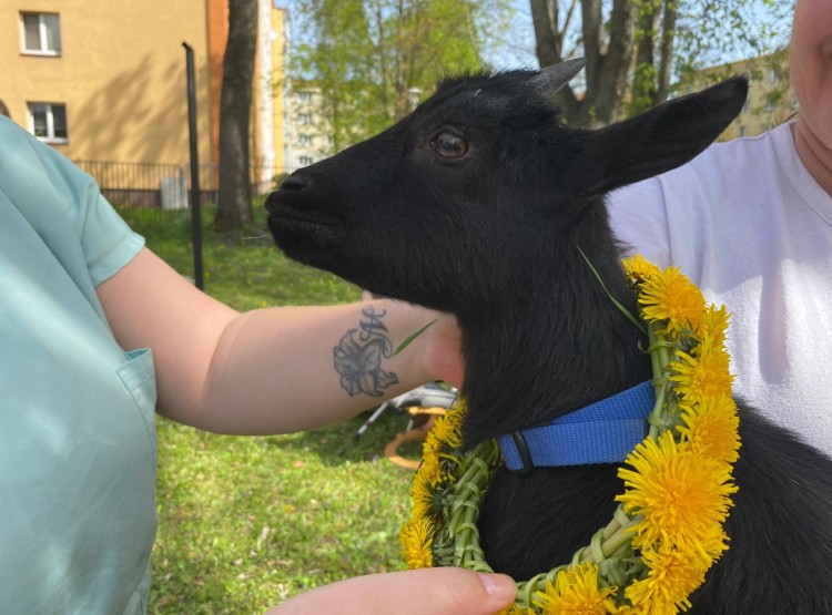 Velikonoční zooterapie