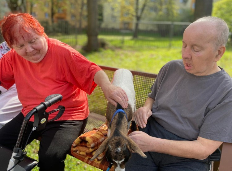 Velikonoční zooterapie