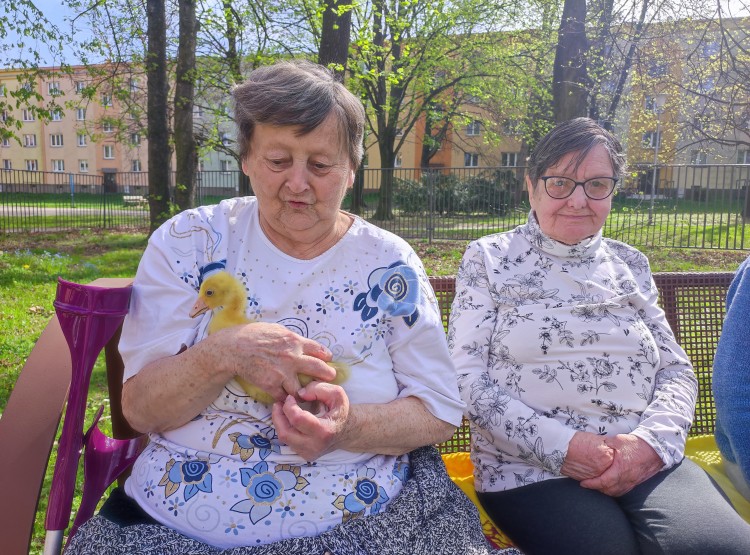 Velikonoční zooterapie