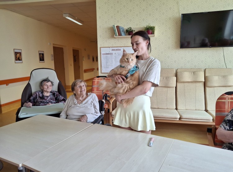 Terapeutický kocour Sigi