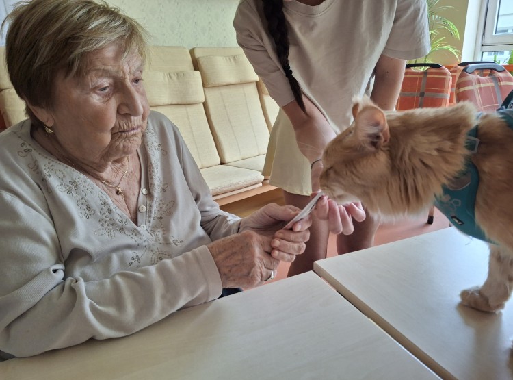 Terapeutický kocour Sigi