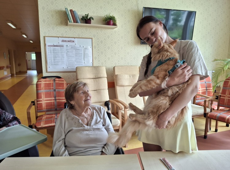 Terapeutický kocour Sigi