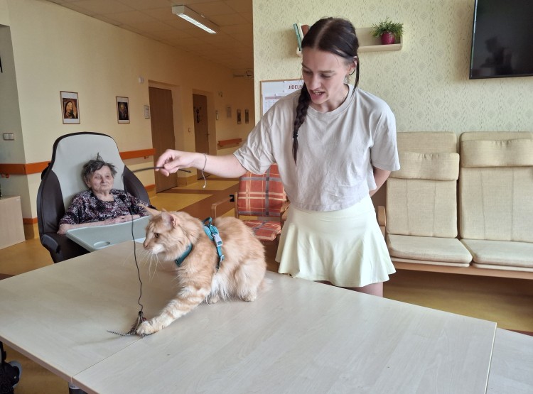 Terapeutický kocour Sigi