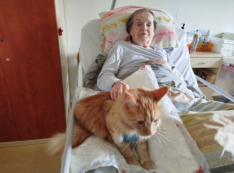 Kočičí návštěva vždy potěší