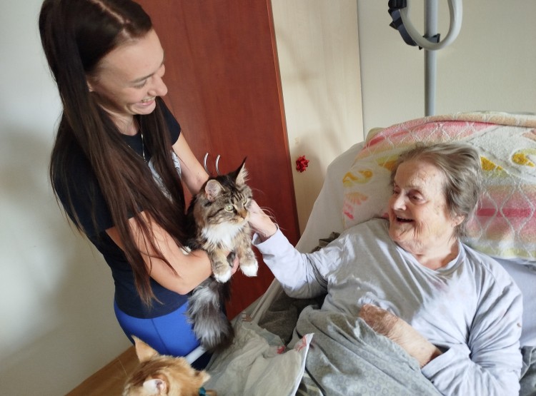 Kočičí návštěva vždy potěší