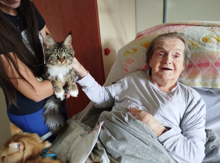 Kočičí návštěva vždy potěší