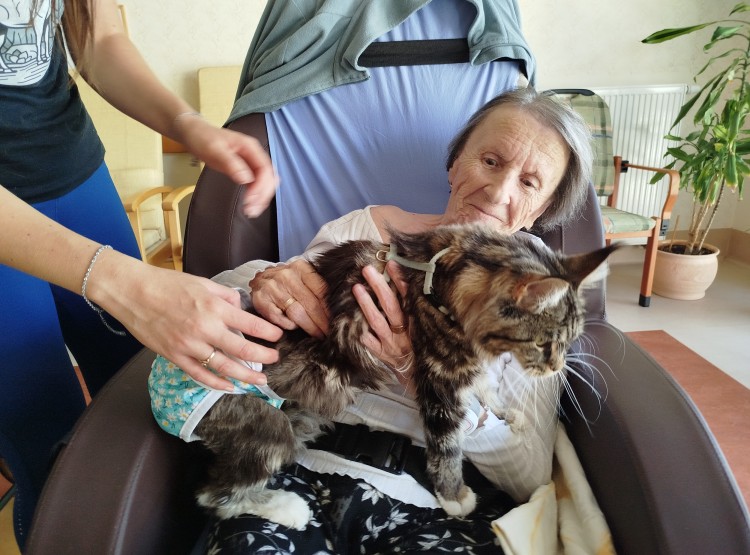 Kočičí návštěva vždy potěší