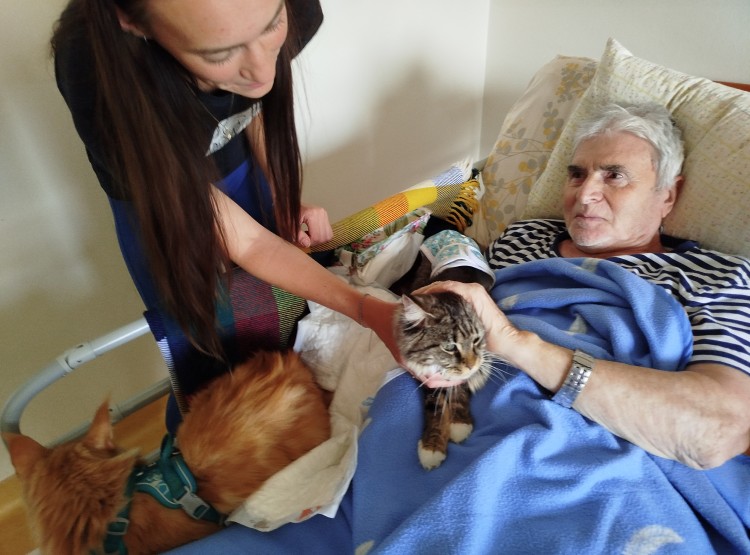 Kočičí návštěva vždy potěší