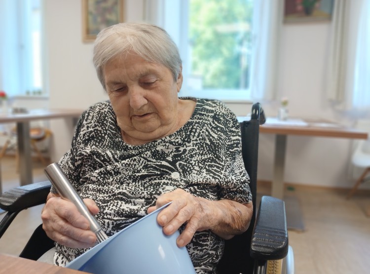 Zářijové pečení a vaření – alsaský cibulový koláč, rybízový koláč a cuketové placičky