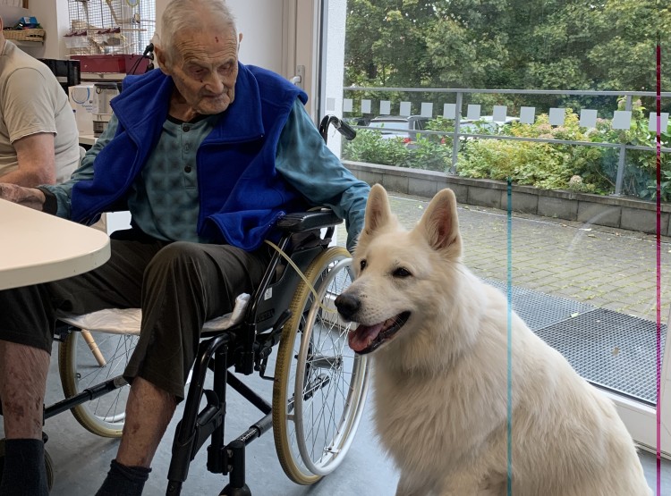 Návštěva Polárky