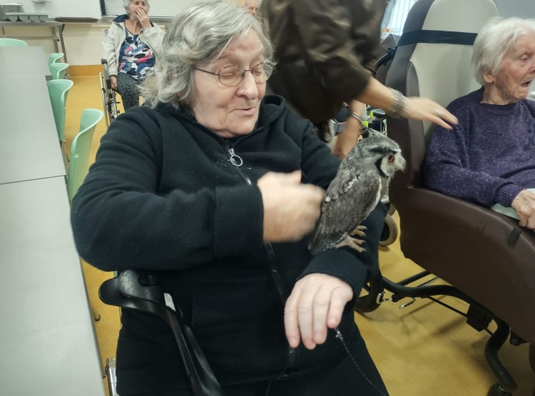 Sovičky potěšily obyvatele i zaměstnance našeho domova