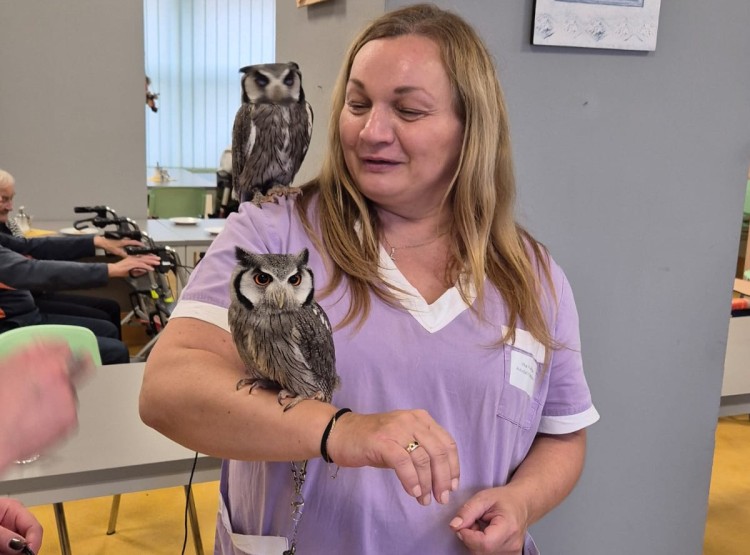 Sovičky potěšily obyvatele i zaměstnance našeho domova