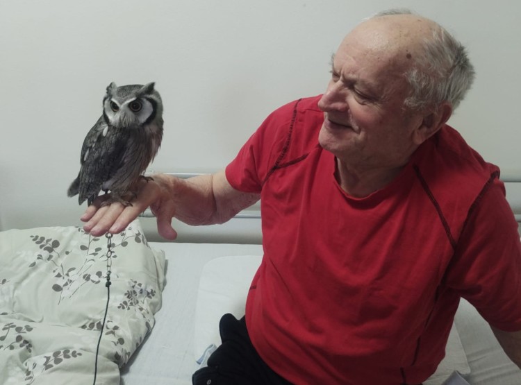 Sovičky potěšily obyvatele i zaměstnance našeho domova