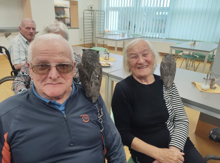 Sovičky potěšily obyvatele i zaměstnance našeho domova