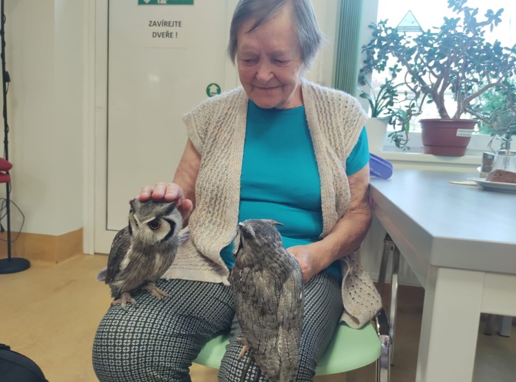 Sovičky potěšily obyvatele i zaměstnance našeho domova