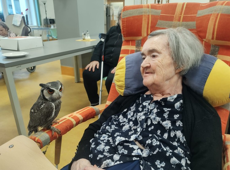 Sovičky potěšily obyvatele i zaměstnance našeho domova