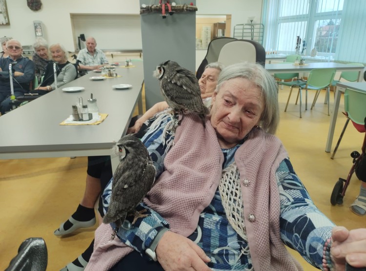 Sovičky potěšily obyvatele i zaměstnance našeho domova