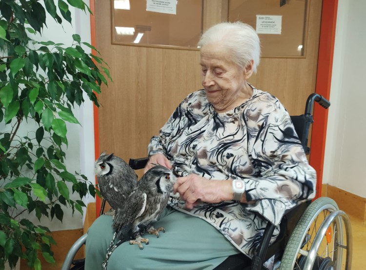 Sovičky potěšily obyvatele i zaměstnance našeho domova