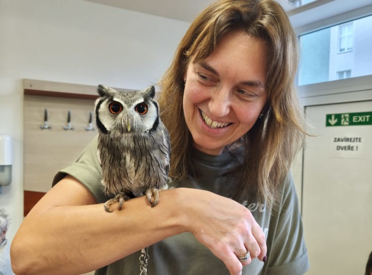 Sovičky potěšily obyvatele i zaměstnance našeho domova