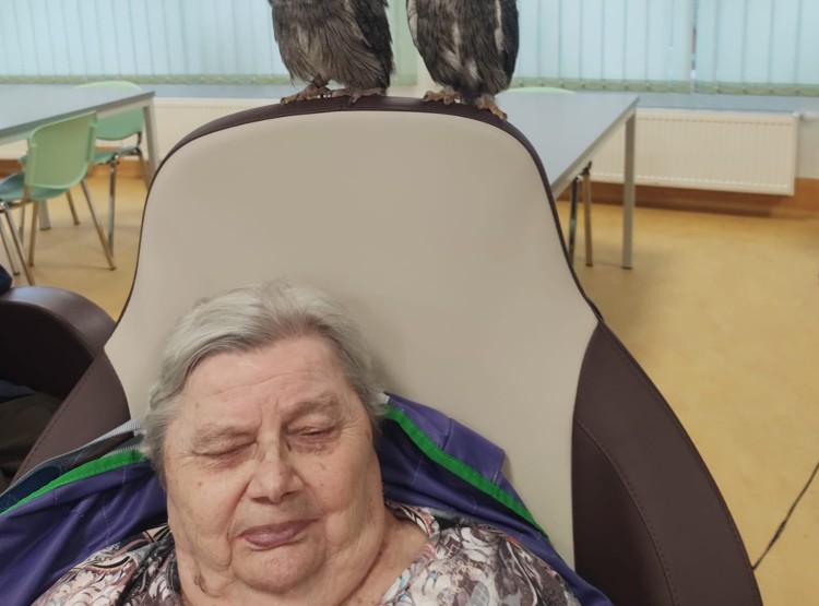 Sovičky potěšily obyvatele i zaměstnance našeho domova