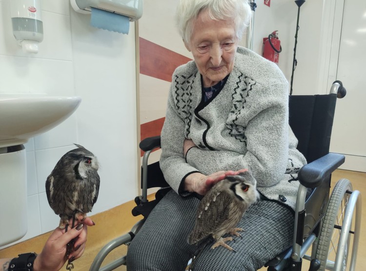 Sovičky potěšily obyvatele i zaměstnance našeho domova