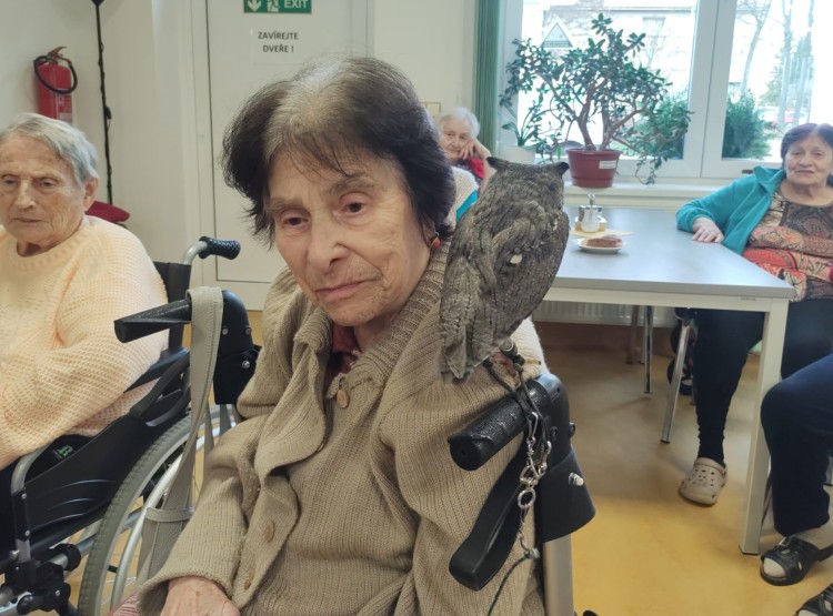 Sovičky potěšily obyvatele i zaměstnance našeho domova