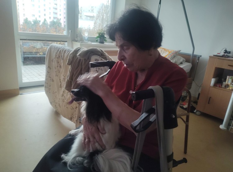 Předvánoční canisterapie