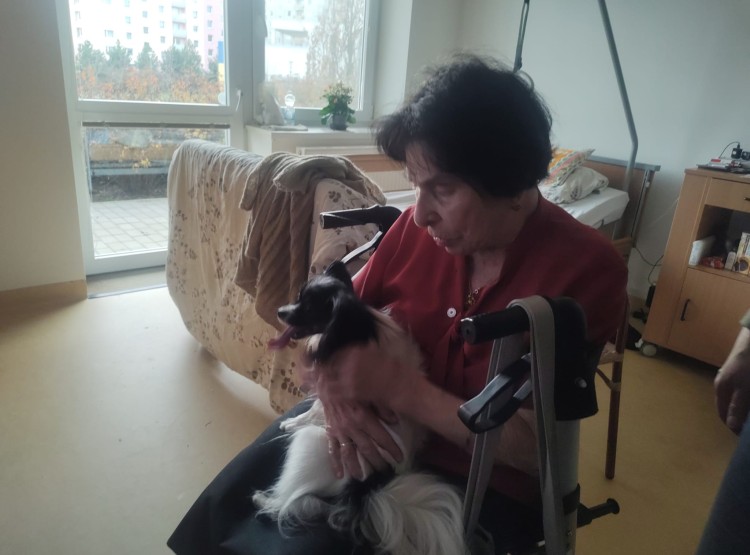 Předvánoční canisterapie