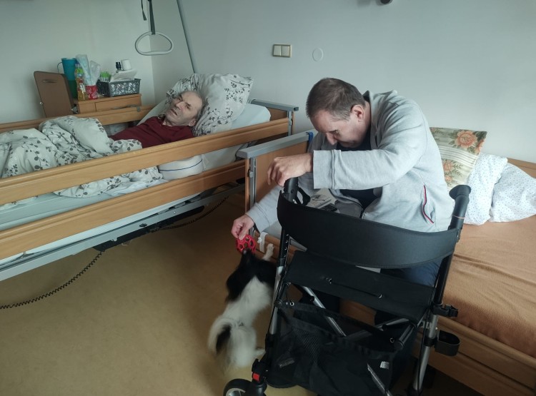 Předvánoční canisterapie