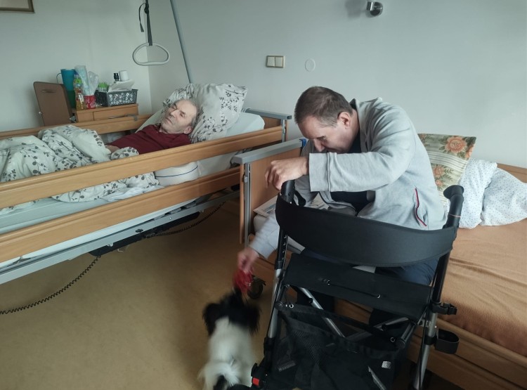 Předvánoční canisterapie