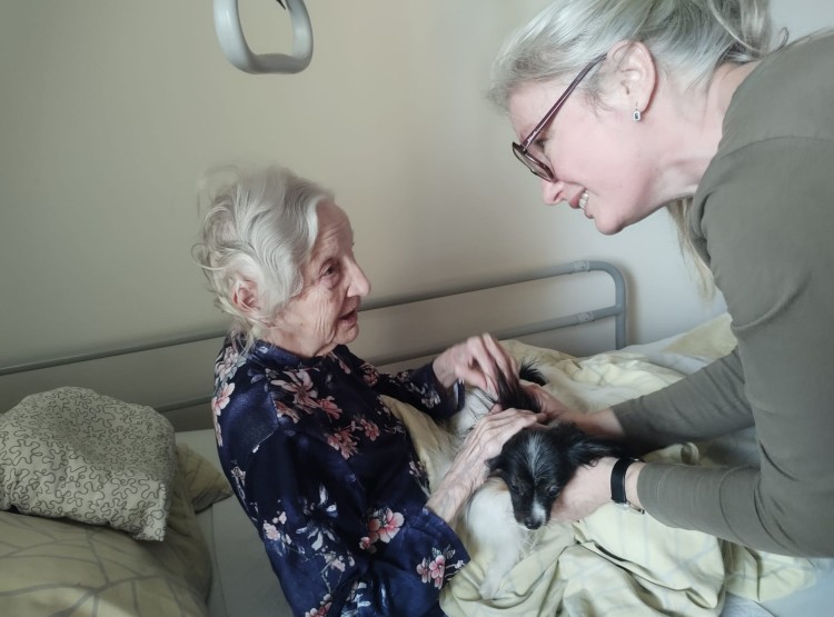 Předvánoční canisterapie