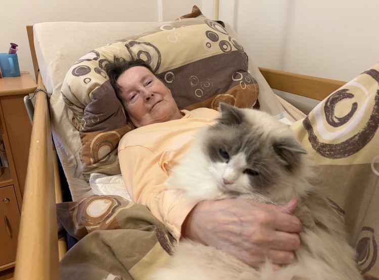 Individuální zooterapie