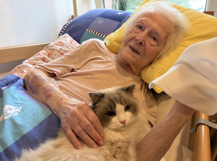 Individuální zooterapie