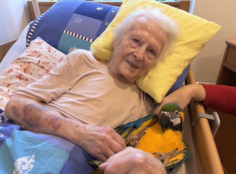 Individuální zooterapie