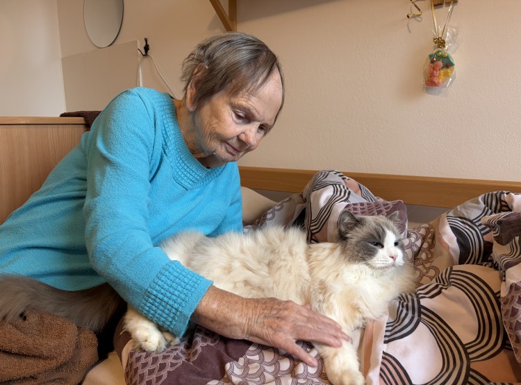 Individuální zooterapie