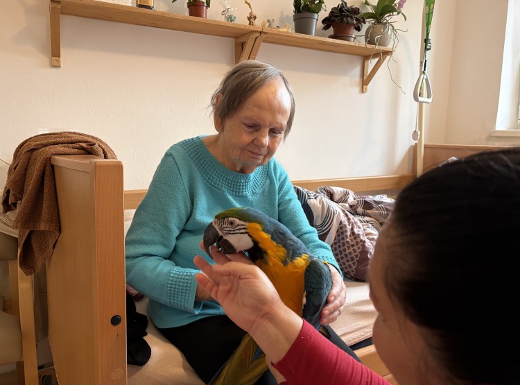 Individuální zooterapie