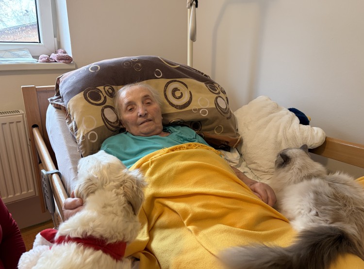 Individuální zooterapie